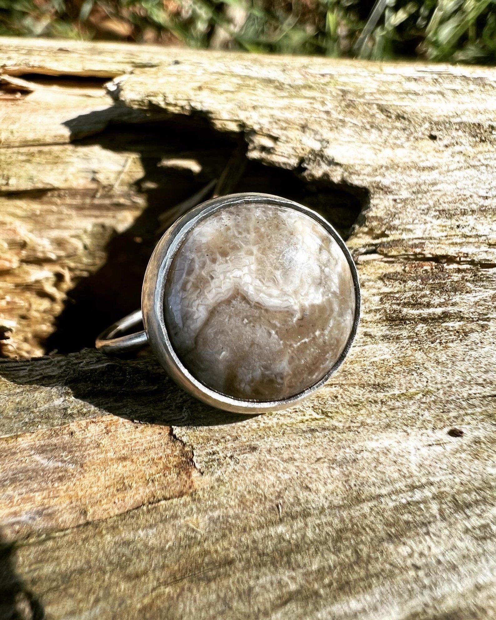 Agatized Petoskey Stone Ring - Size 8
