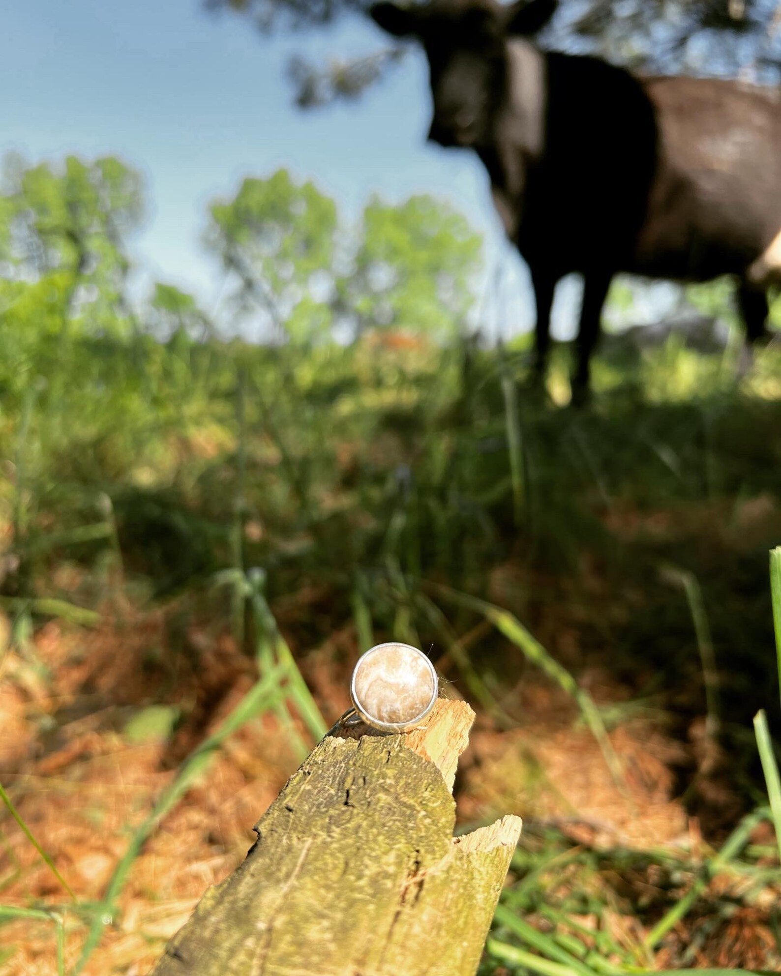 Agatized Petoskey Stone Handmade Ring - Size 8
