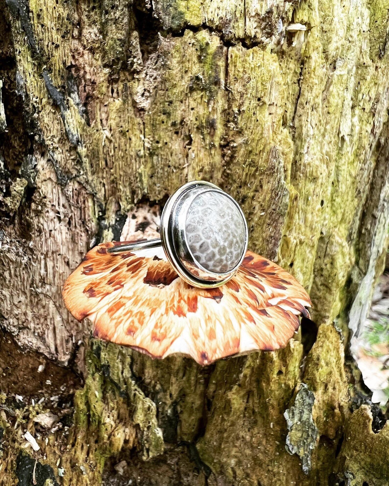 Charlevoix Stone Silver & Gold Handmade Ring - Size 6.25