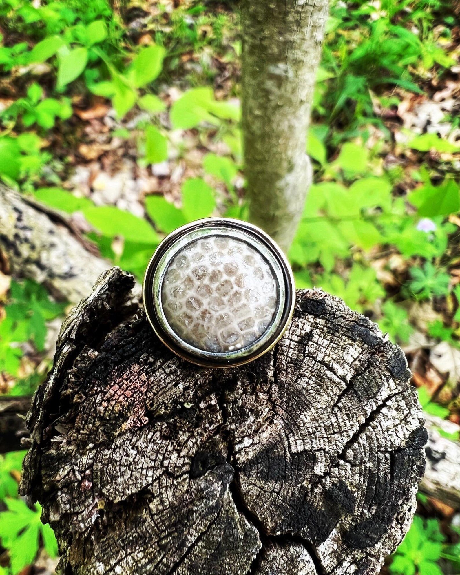 Charlevoix Stone Silver & Gold Handmade Ring - Size 6.25