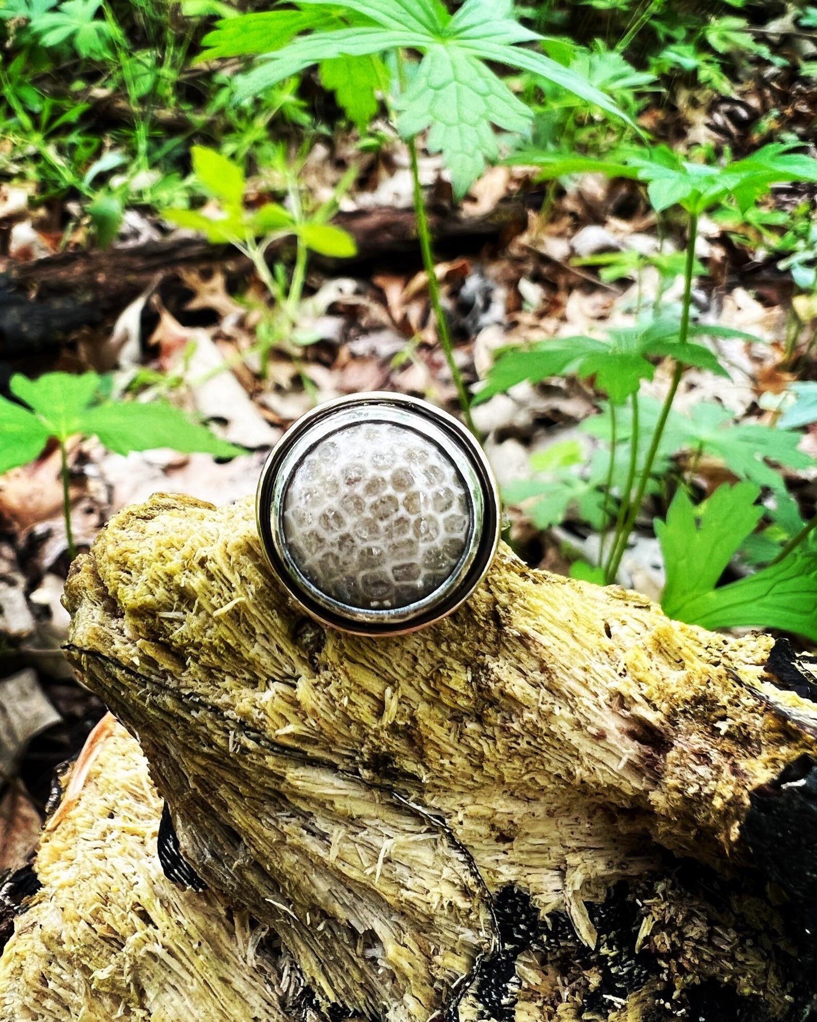 Charlevoix Stone Silver & Gold Ring - Size 6.25