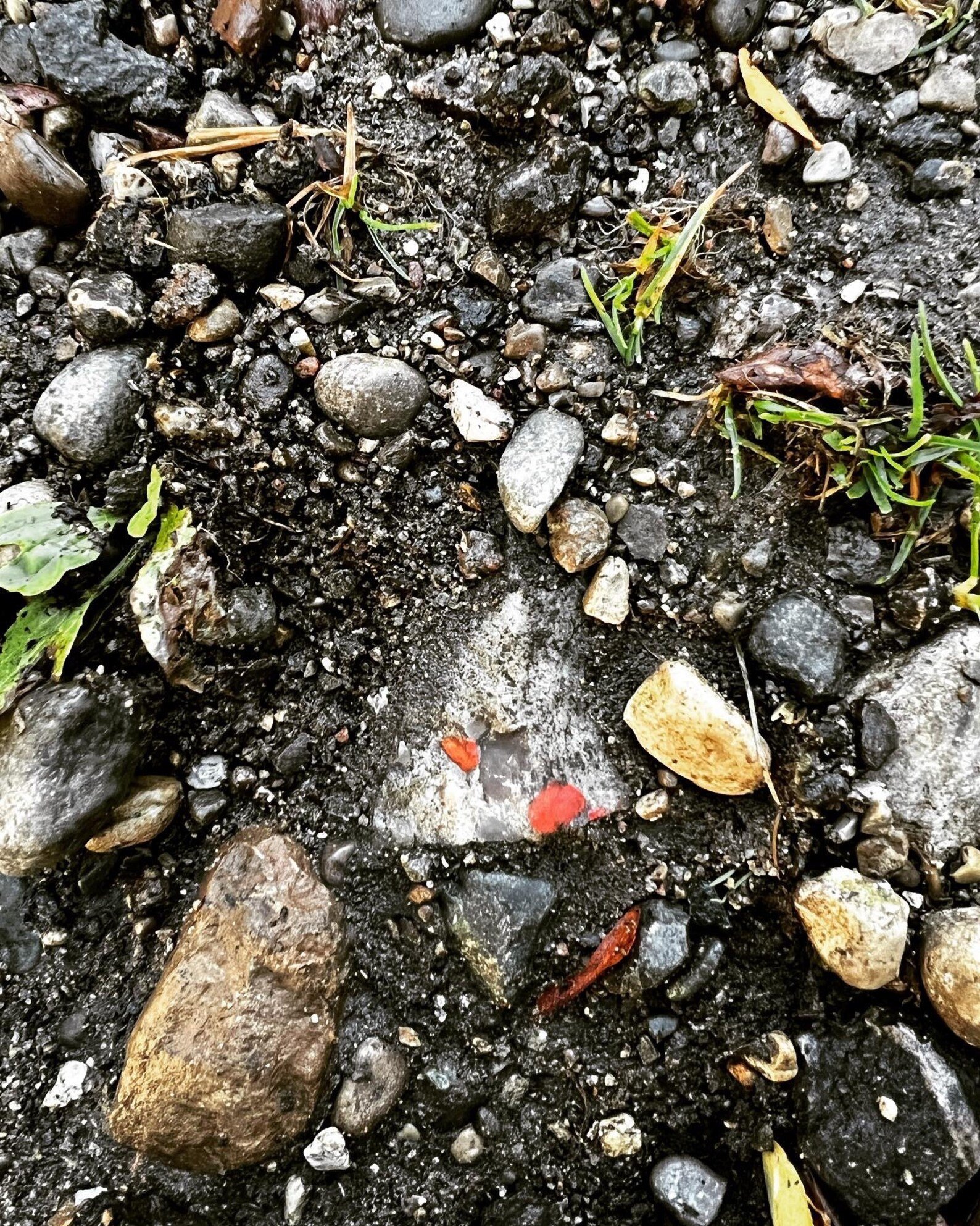 Finding the Puddingstone