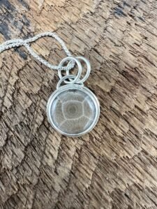 Petosky Stone Circular Pendant Necklace